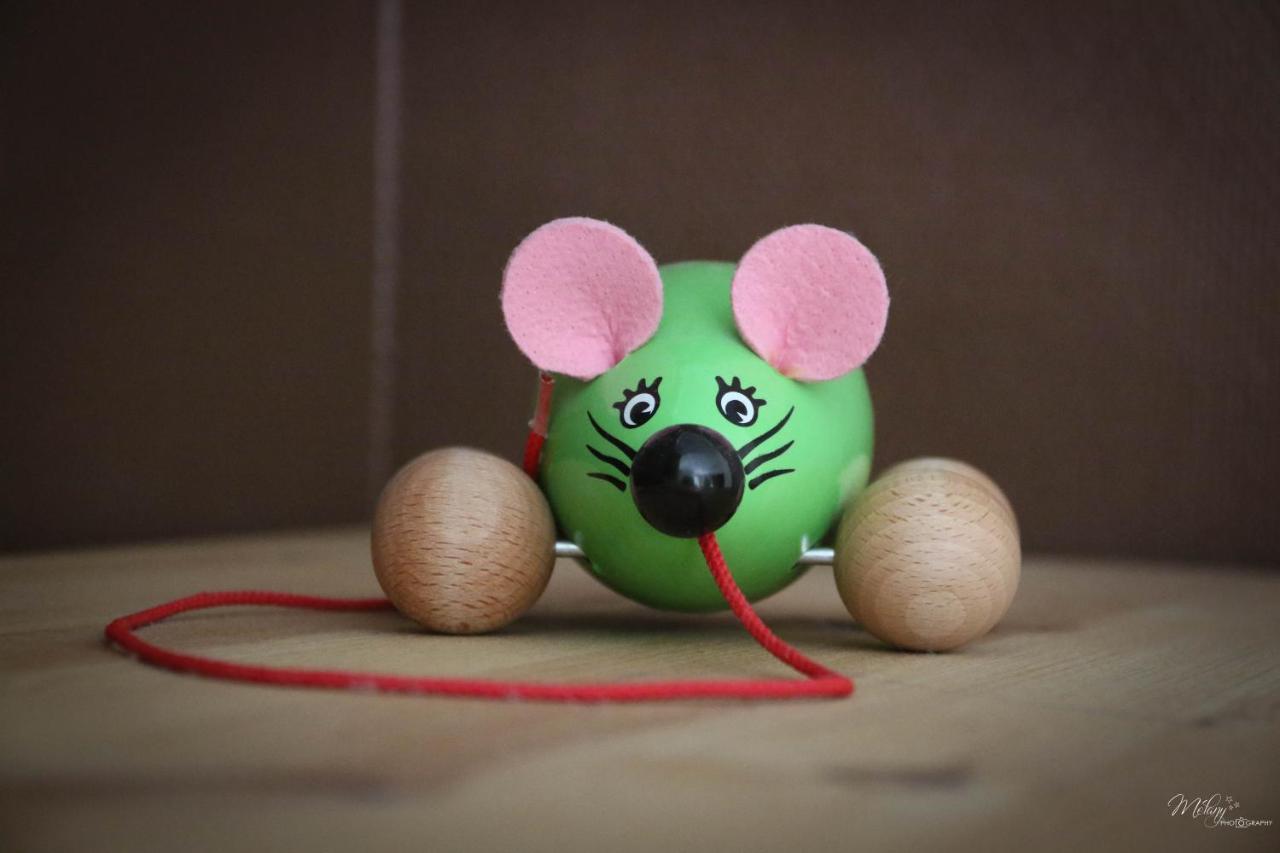 Gite De La Souris Verte Molamboz Exteriér fotografie